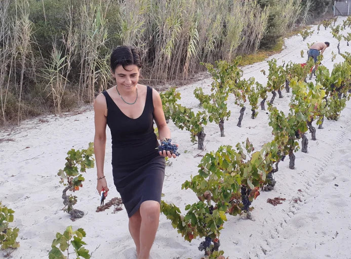 A woman in a black sleeveless dress walking through a sandy vineyard
