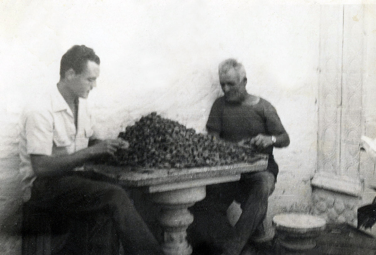Black and white vintage photograph showing two men seated at a table piled with dark grapes